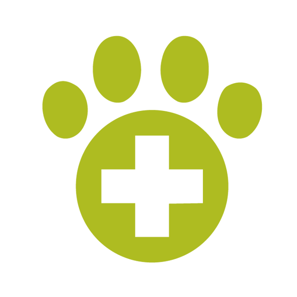 Veterinary